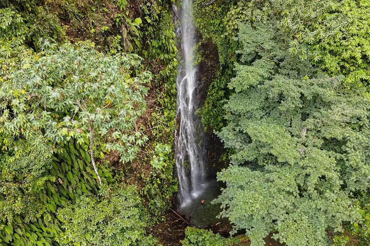 aguaclara-rejuvenece-hilo-oro-disfruta-buenaventura