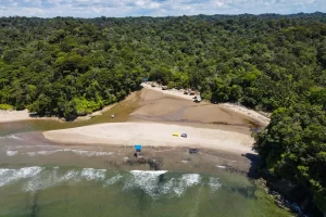 Playa dorada en Magüipi con Disfruta Buenaventura