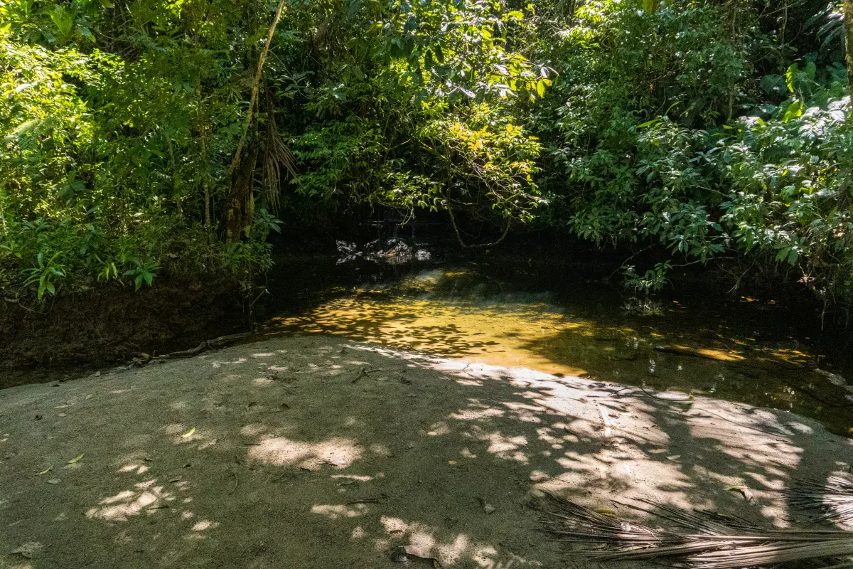 tour-playas-bahia-malaga-coqueros-charco-disfruta-buenaventura