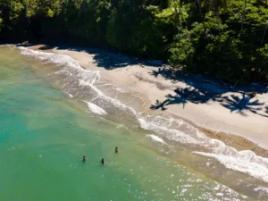Tour a Playas en Bahía Málaga